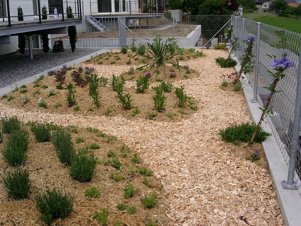 Neubepflanzung Staudengarten