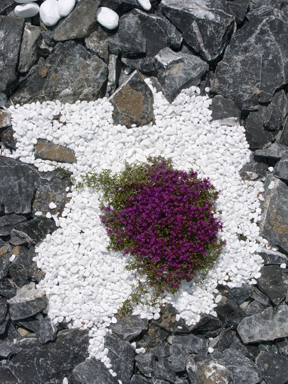 Steingarten Alpenkalk