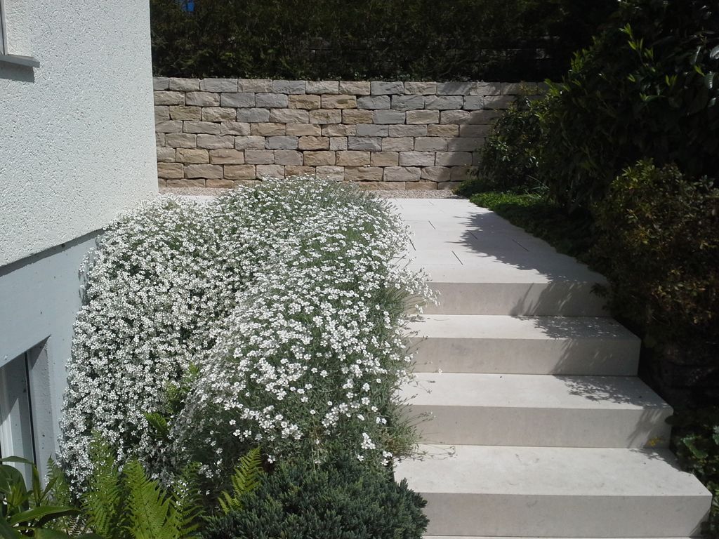 Natursteinmauer Jurakalk