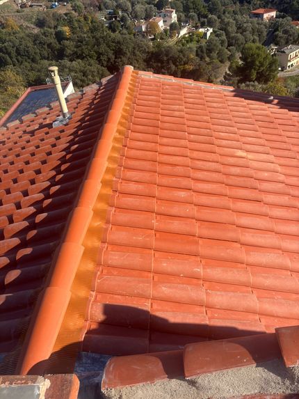 Toit de tuiles rouges avec une ligne de faîtage, surplombant les arbres et les maisons en contrebas.