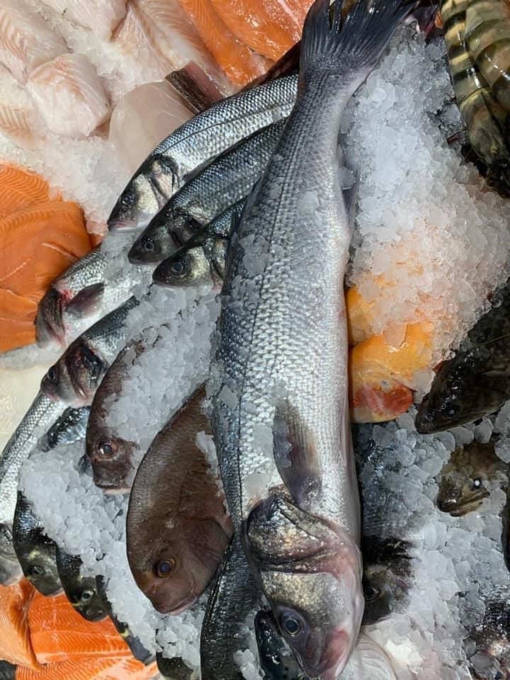 Ein Haufen Fische sitzt auf dem Eis.