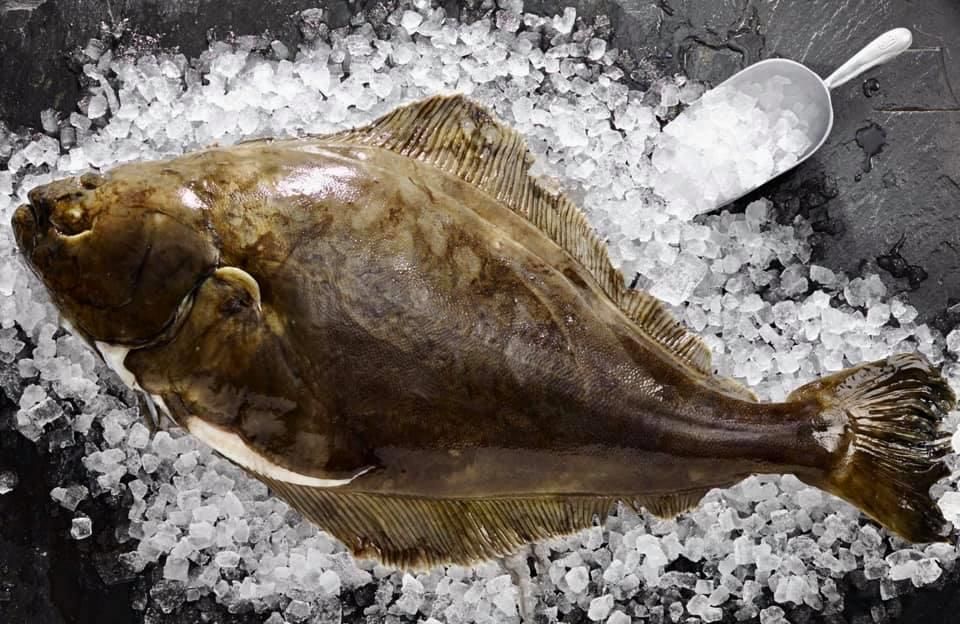 Ein Fisch liegt neben einem Löffel auf einem Eishaufen.