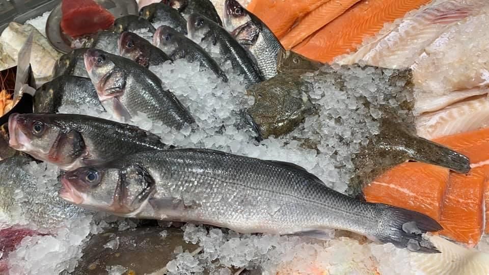 Ein Haufen Fische sitzt auf dem Eis.