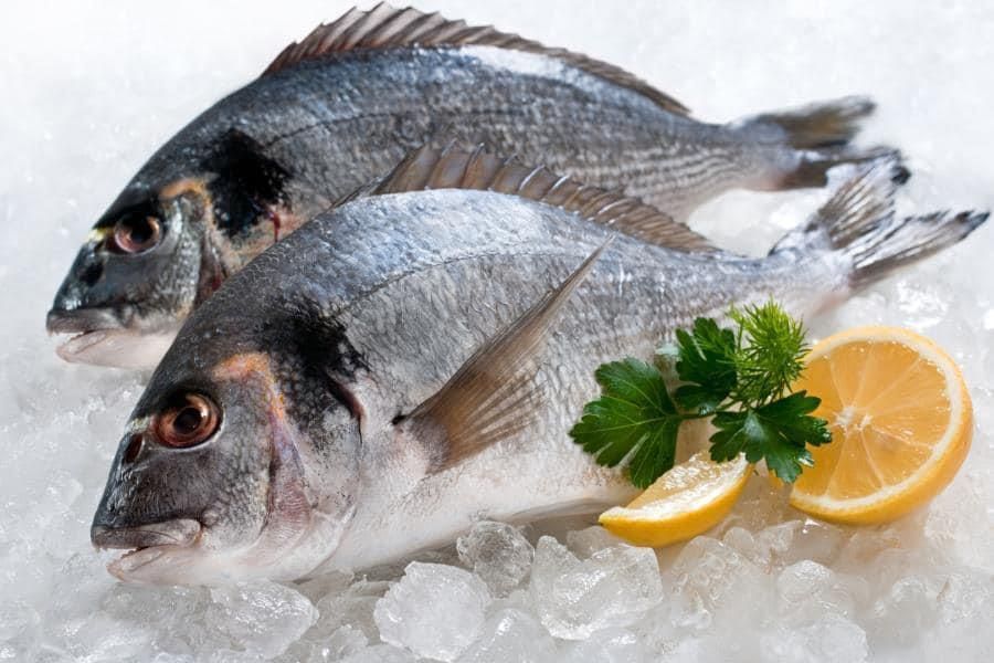 Zwei Fische liegen auf Eis mit Zitronenscheiben und Petersilie.
