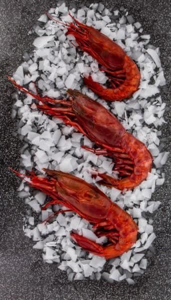 Drei Garnelen sitzen auf einem Eishaufen.