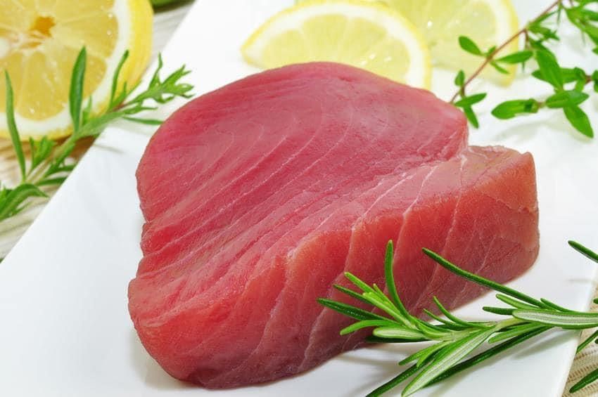 Ein Stück roher Thunfisch auf einem weißen Teller mit Zitronenscheiben und Rosmarin.