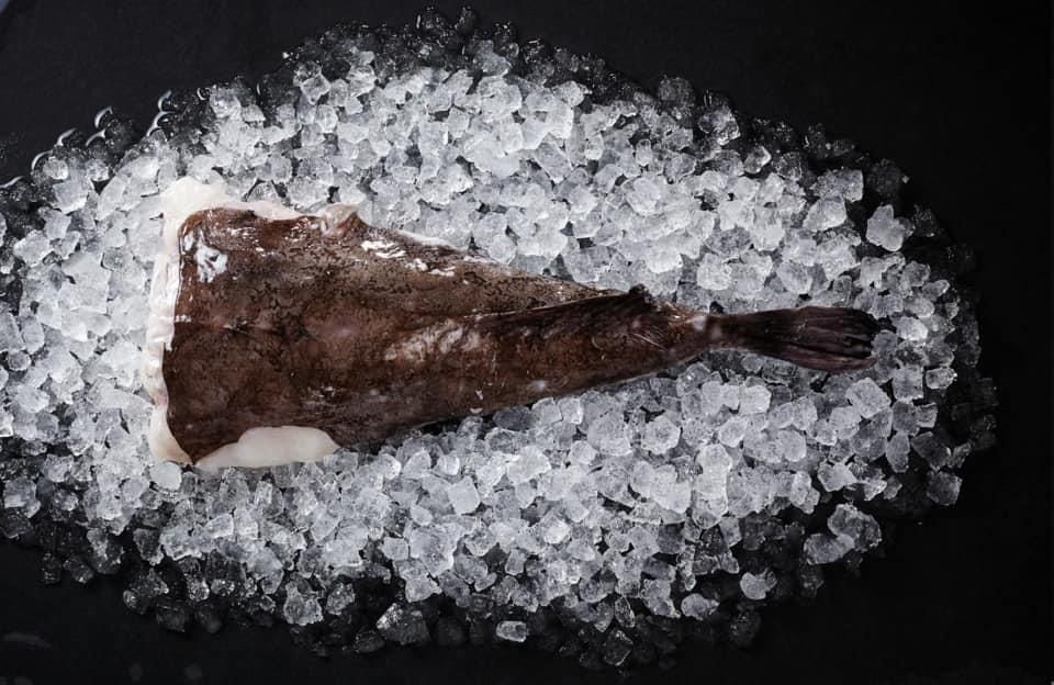 Ein Fisch sitzt auf einem Eishaufen.