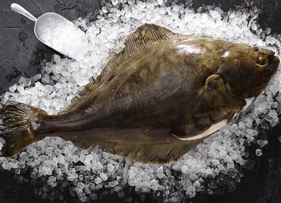 Ein Fisch liegt auf Eis neben einer Schaufel Salz