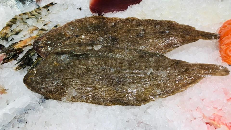 Ein Fisch sitzt auf einem Eishaufen.