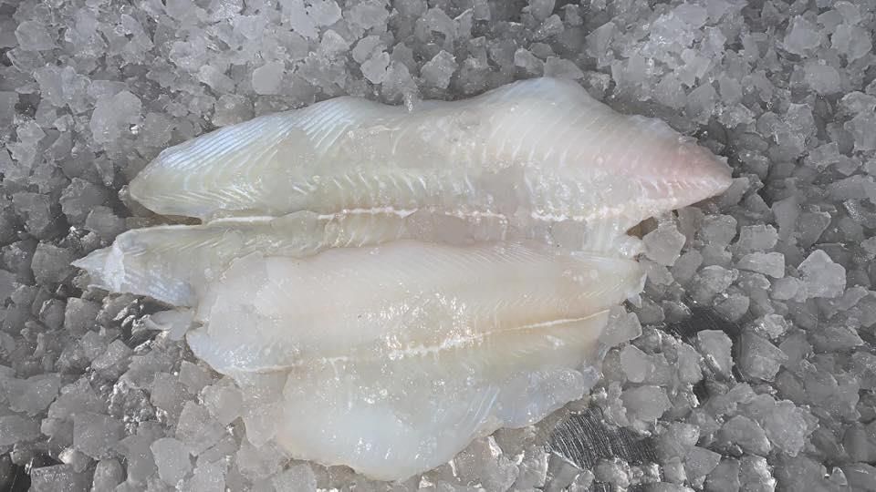 Ein Stück Fisch liegt auf einem Eishaufen.