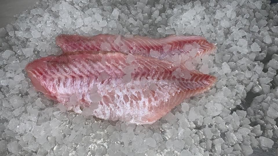 Ein Stück Fisch liegt auf einem Eishaufen.