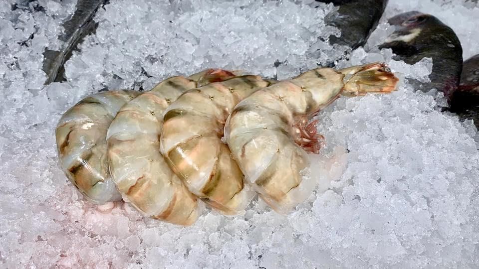 Eine Gruppe Garnelen, die auf einem Eishaufen sitzt.