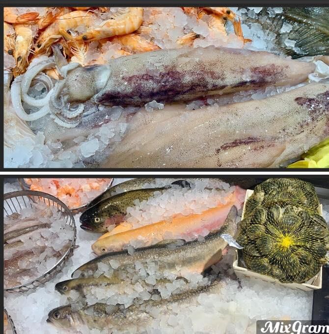 Zwei Bilder von Fischen auf Eis mit dem Wort „Mixgram“ darunter