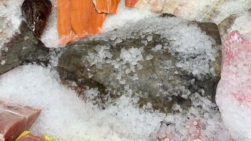 Ein Fisch sitzt auf einem Eishaufen.