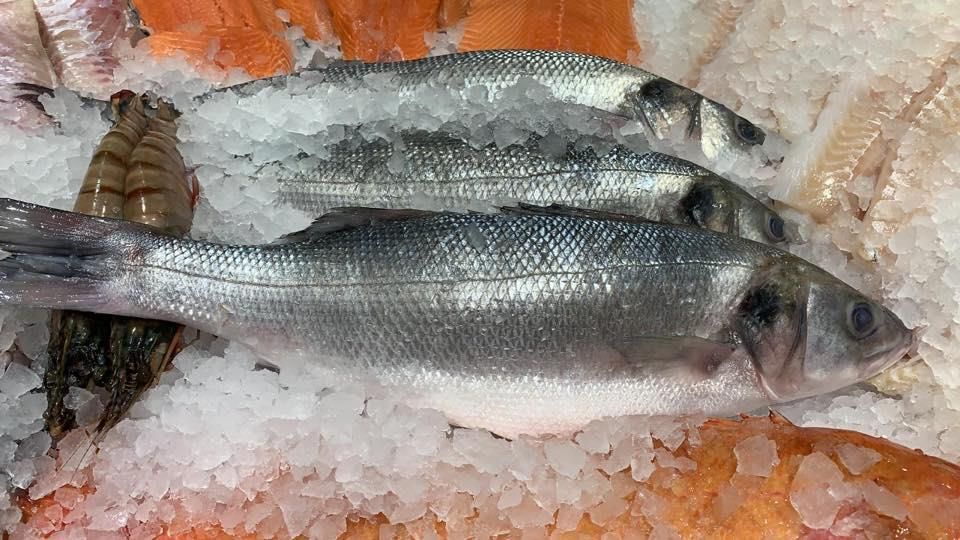 Eine Gruppe Fische, die auf einem Eishaufen sitzt.