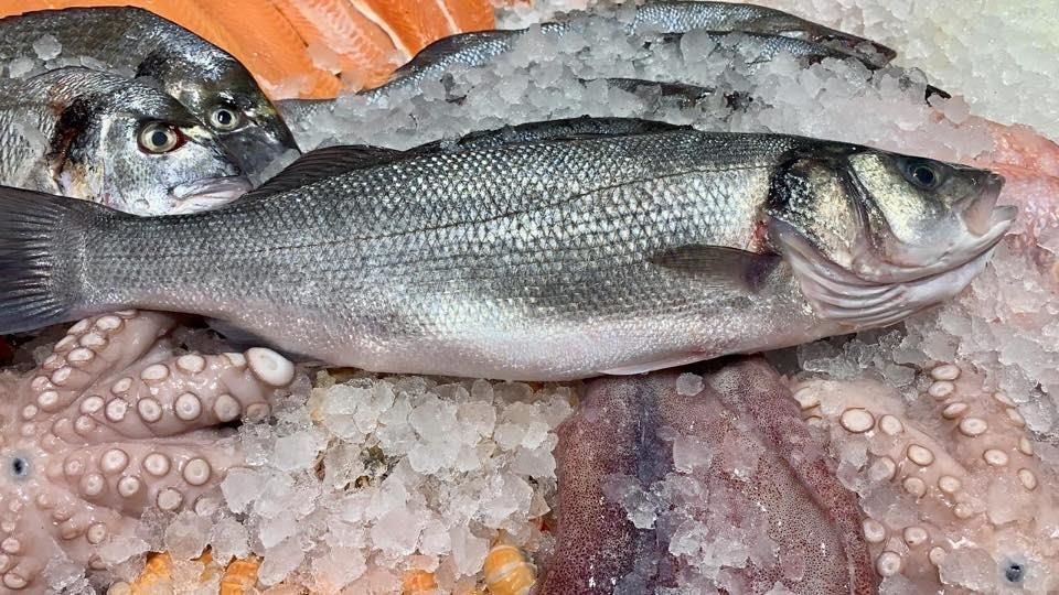 Ein Fisch sitzt auf einem Eishaufen.