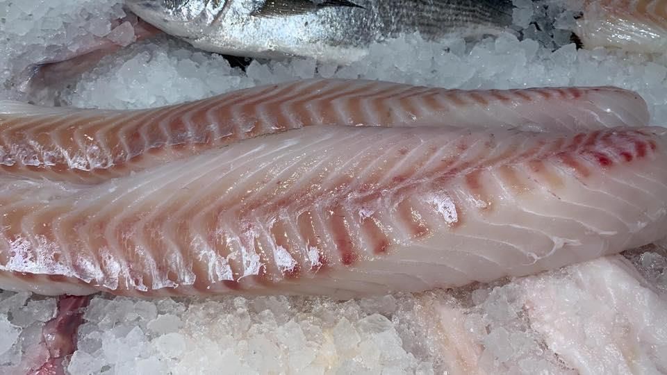 Eine Nahaufnahme eines Stücks Fisch auf Eis.