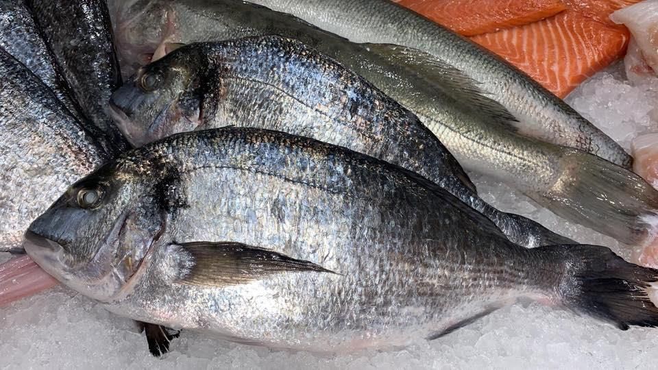 Ein Haufen Fische sitzt auf dem Eis.