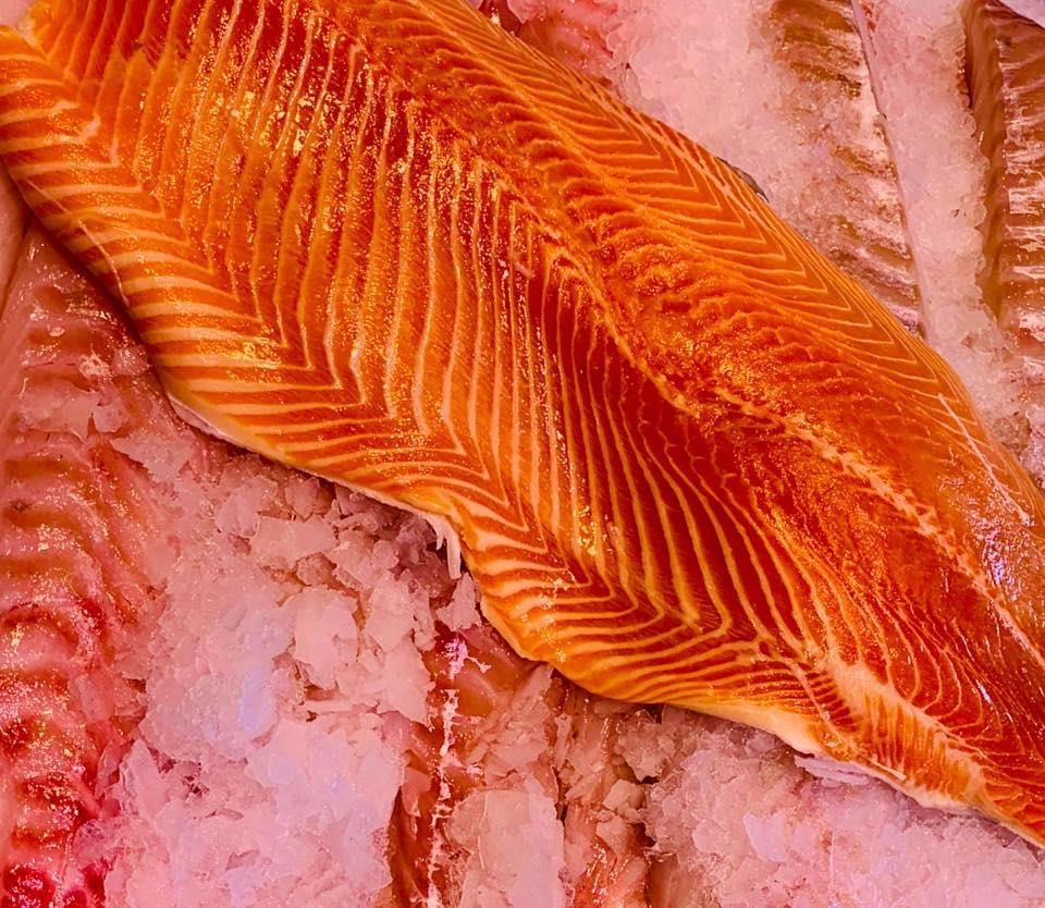 Eine Nahaufnahme eines Stücks Lachs auf Eis.