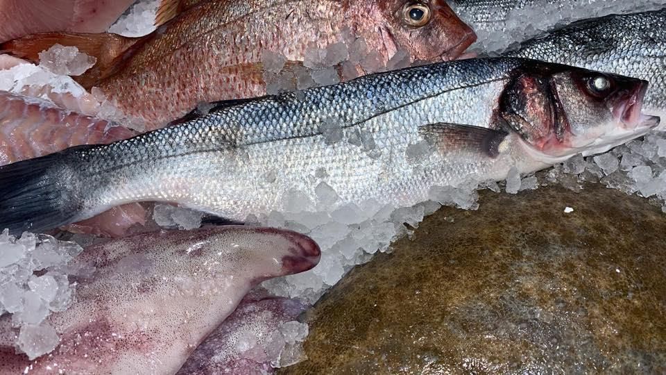 Eine Gruppe Fische sitzt auf der Eisfläche.