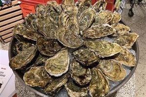 Muscheln