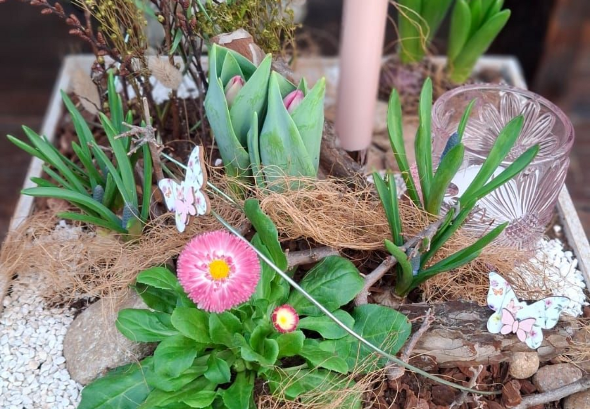 Floristik | Pflanzenzentrum op de Hipt | Kamp-Lintfort | Mehr als ein Gartencenter! Floristik | Pflanzenzentrum op de Hipt | Kamp-Lintfort | Mehr als ein Gartencenter!