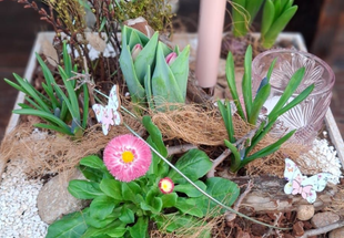 Floristik | Pflanzenzentrum op de Hipt | Kamp-Lintfort | Mehr als ein Gartencenter!