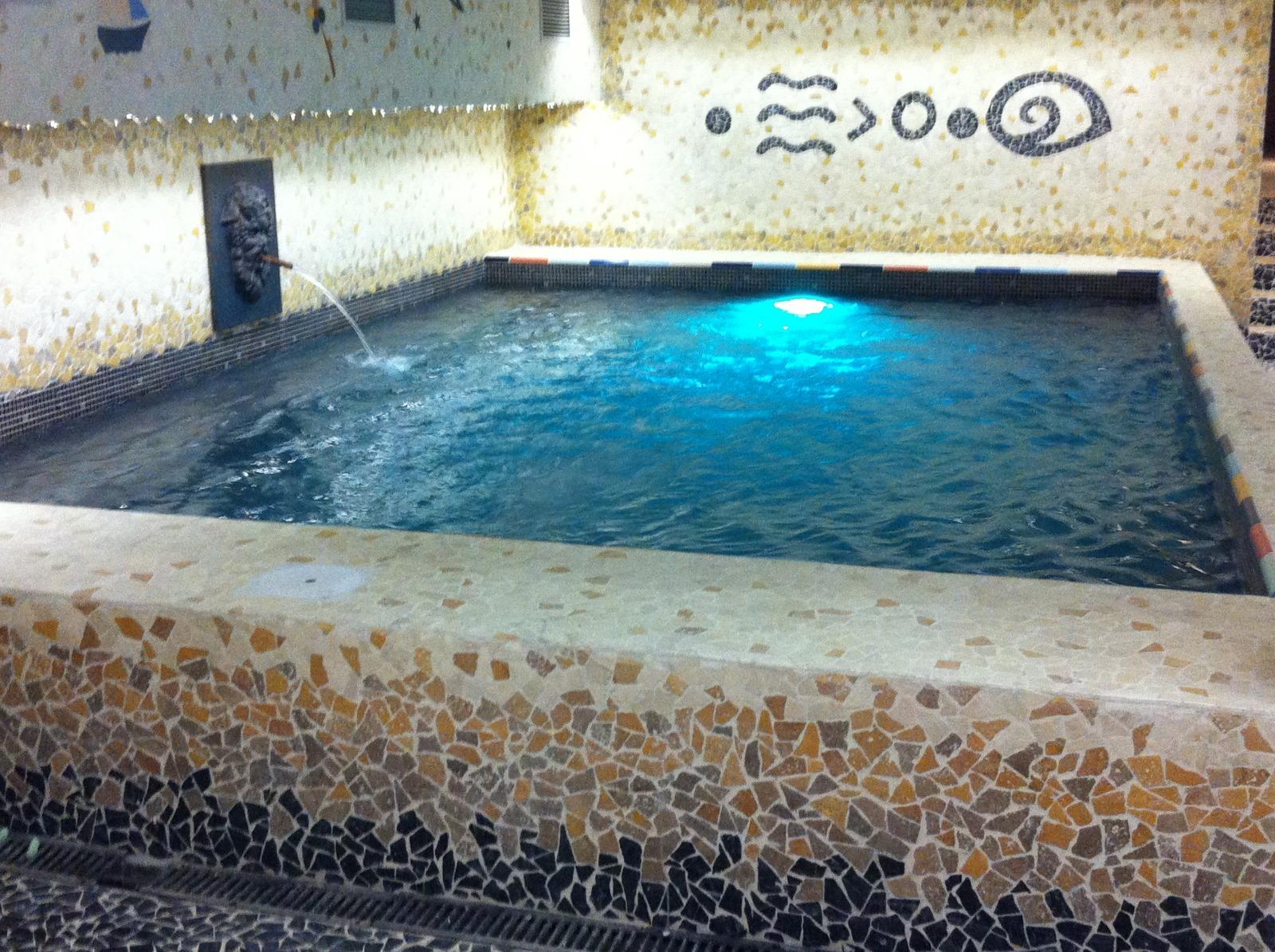 Réalisation d'un bassin dans un hôtel particulier parisien.