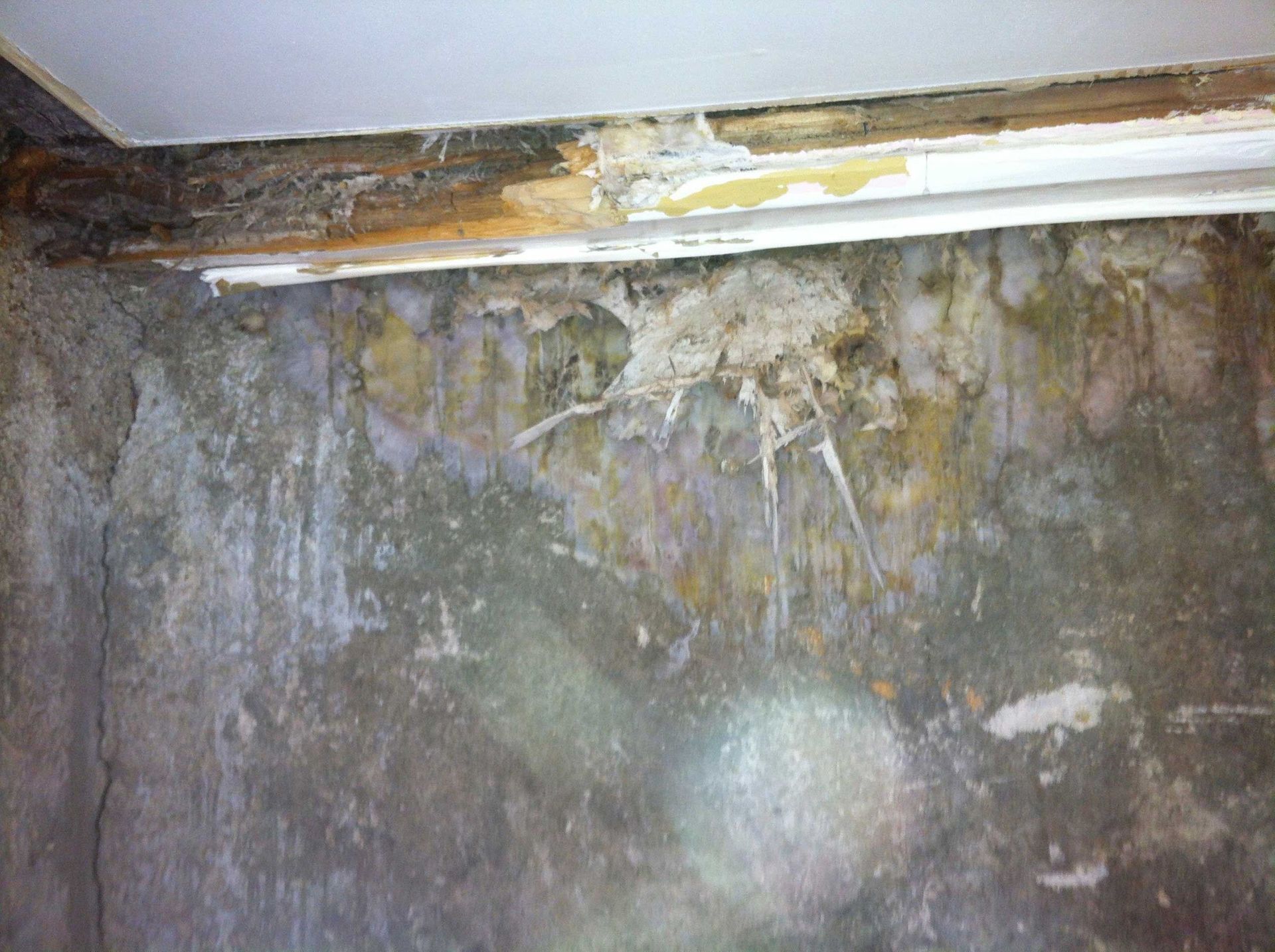 Renovchalet---Mérule