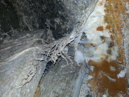 Renovchalet---Merules - Filaments gris brun