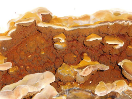 Renovchalet---Merules- Plaque de couleur rouille