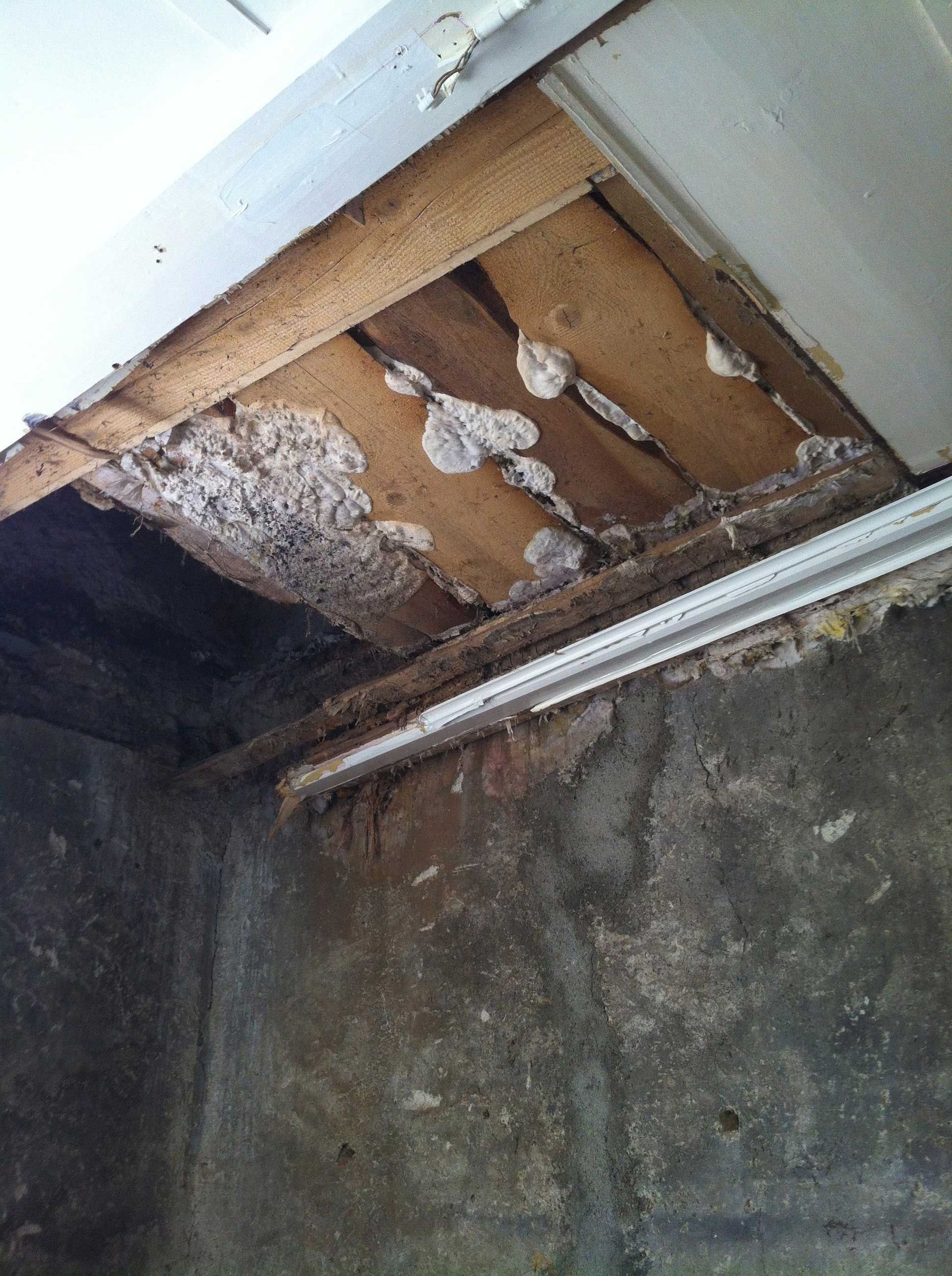 Renovchalet-Renovchalet---Mérule