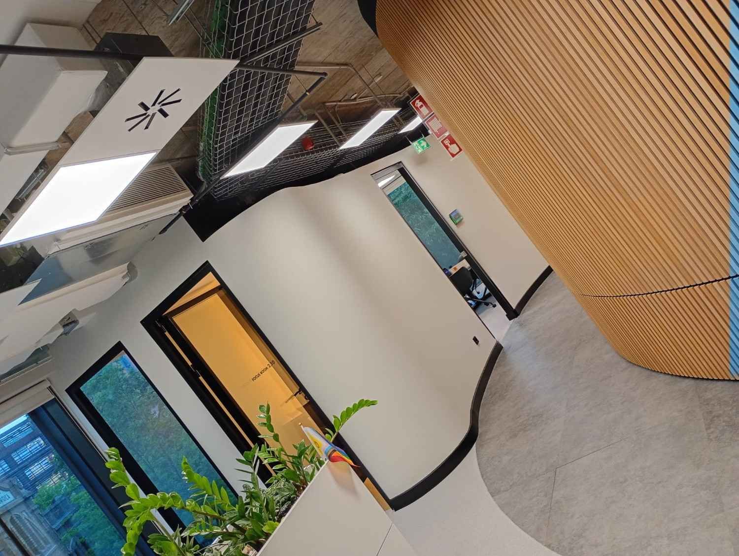 Vestíbulo de oficina moderno con paredes blancas, ventanas con marcos negros, plantas y un detalle de techo curvo de madera.