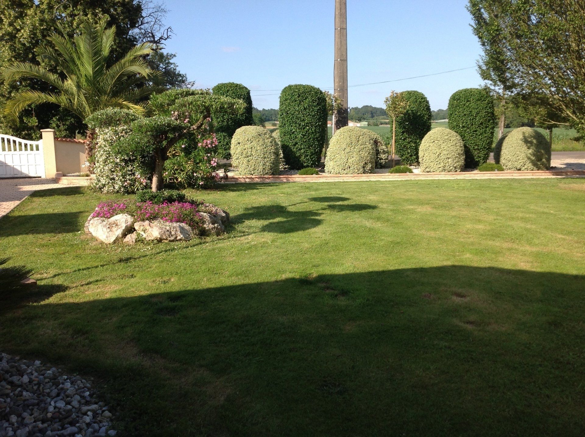 Taille des arbres et arbustes et entretien de pelouse