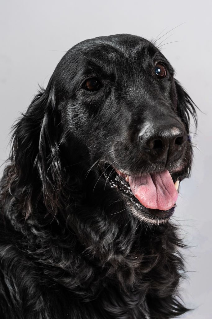 Feuz3 GmbH | Mürren