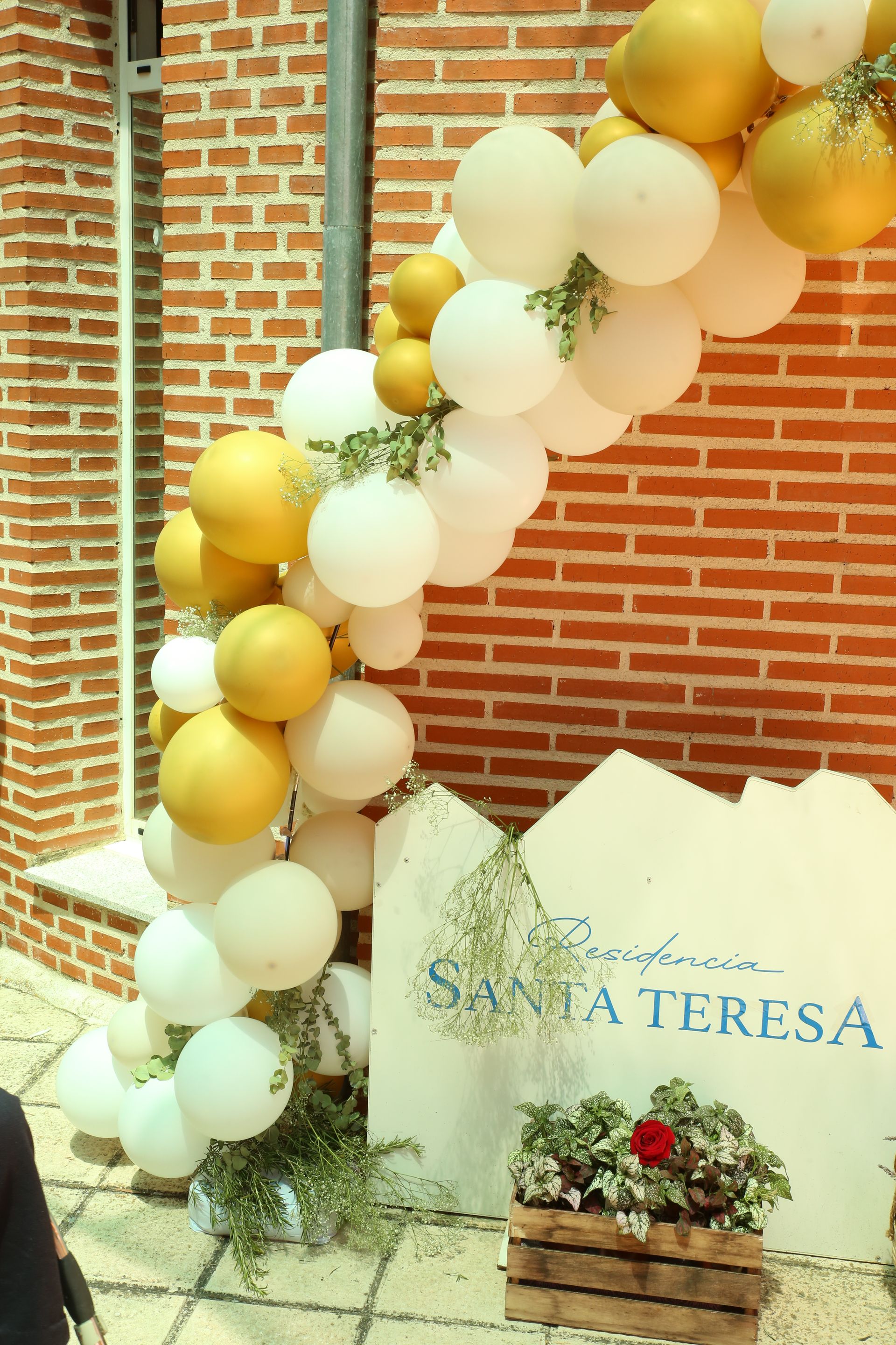 Un cartel que dice Santa Teresa está rodeada de globos.