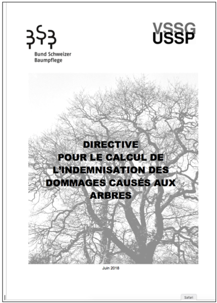 Arbre dégât