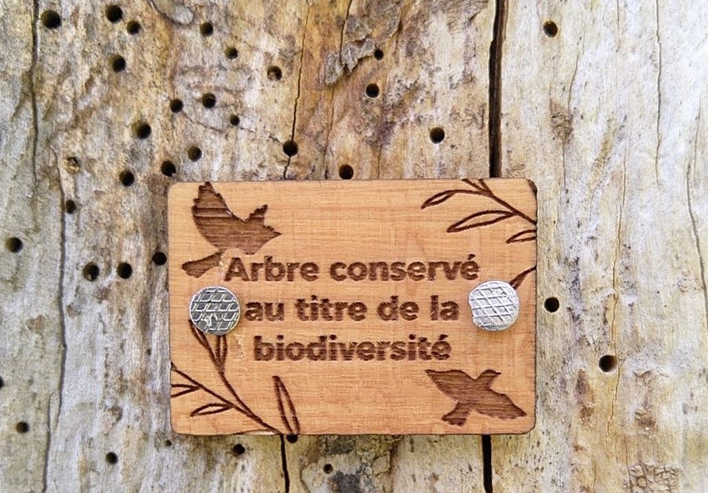 Arbre biodiversité