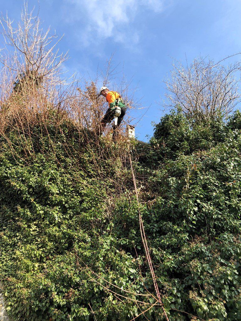 Nettoyage entretien falaise