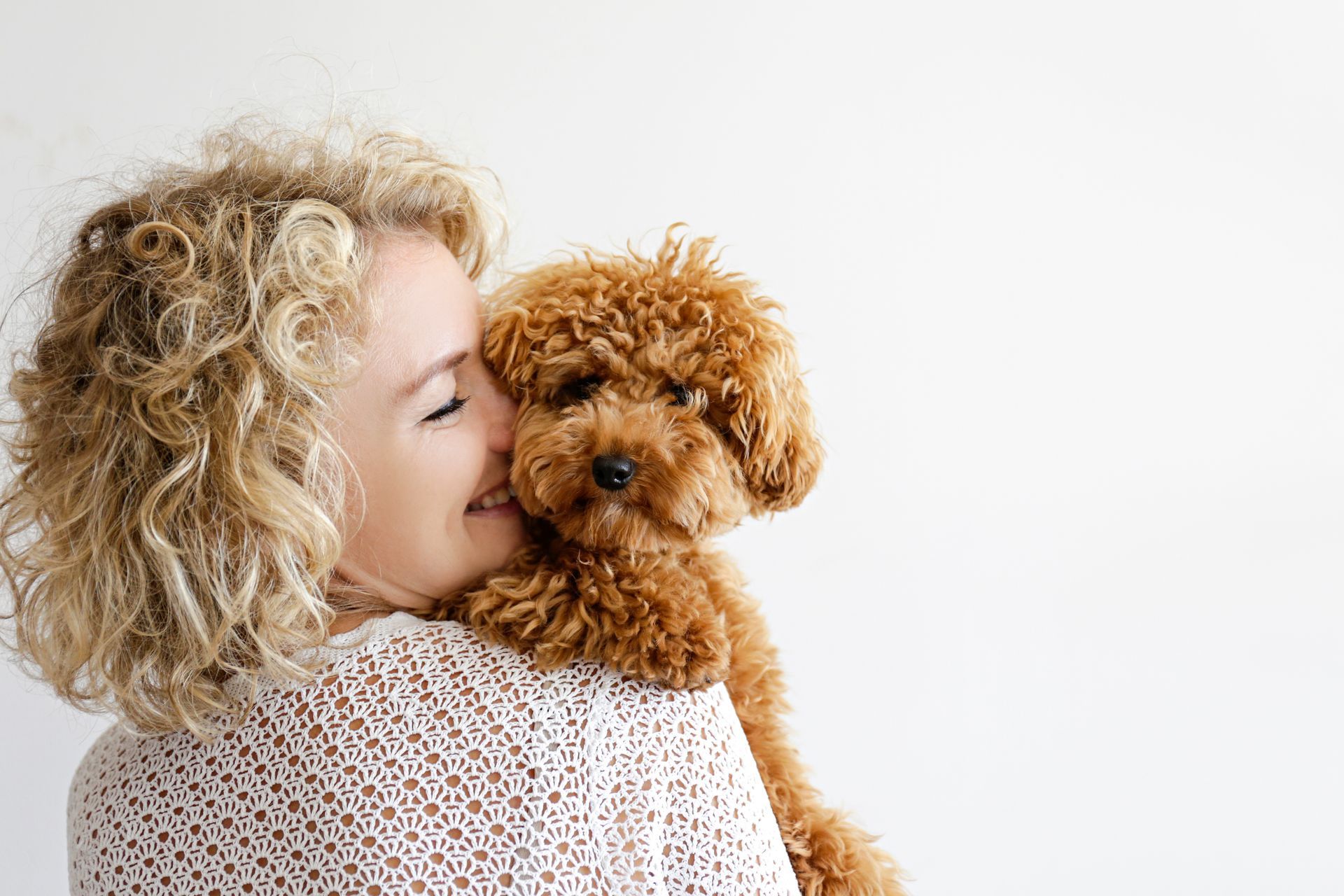 Caniche toy aimé par sa maîtresse