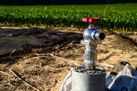 Robinet raccordé à une pompe sur une parcelle agricole