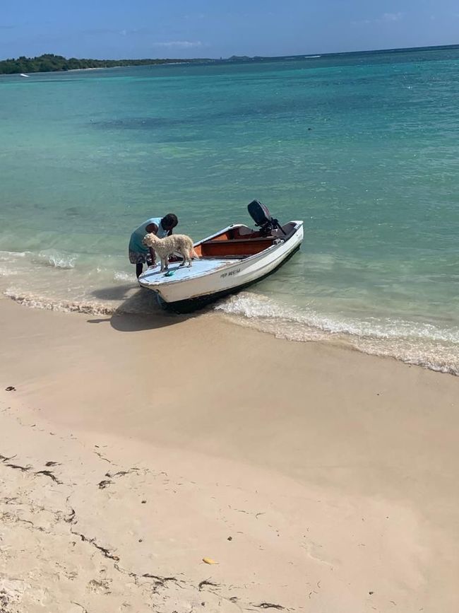 plage et peche dans le lagon de Saint-François en guadeloupe