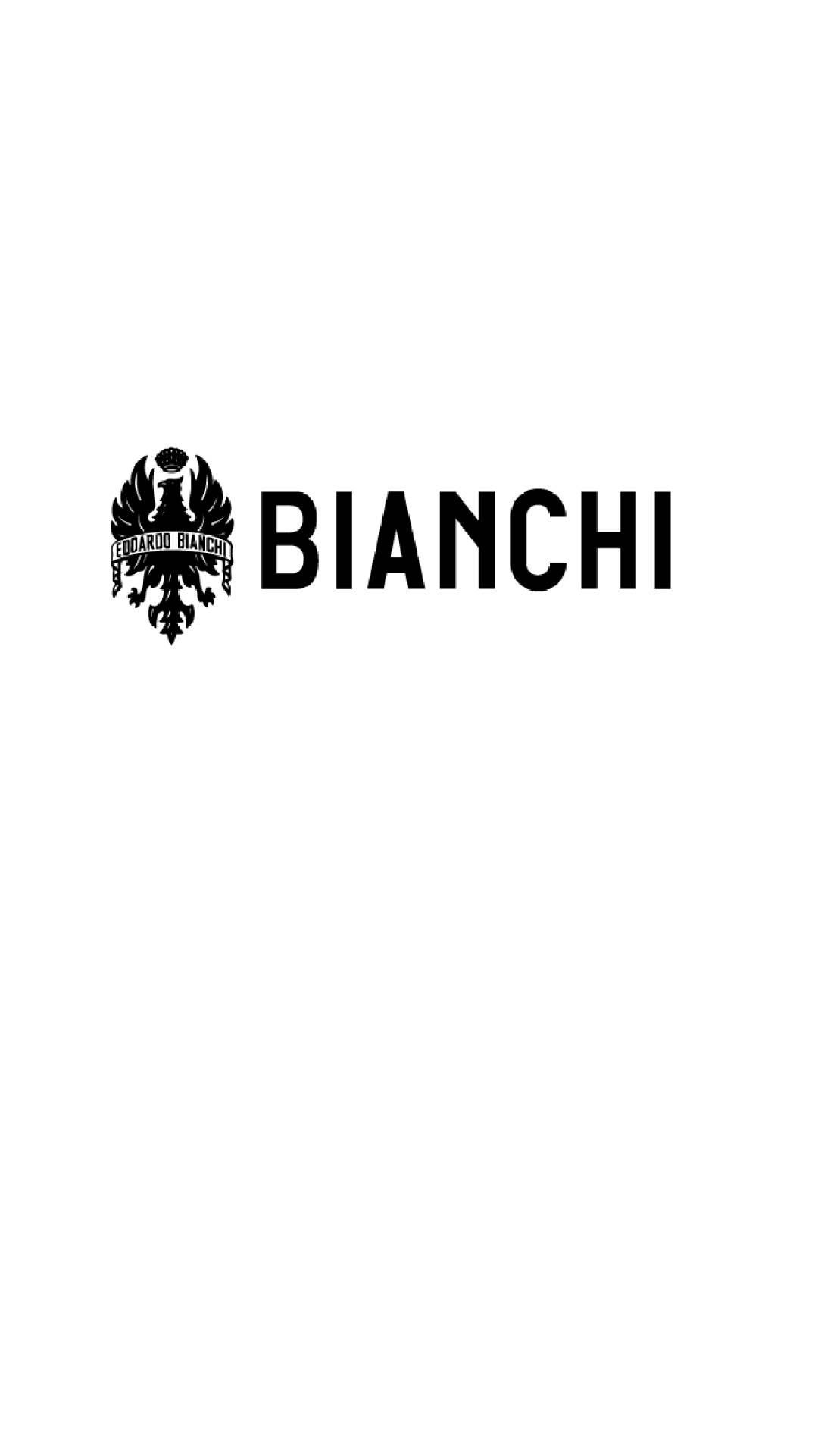 Logo de la marque BANCHI