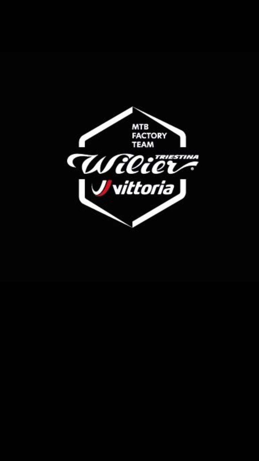 Logo de la marque WILLIER