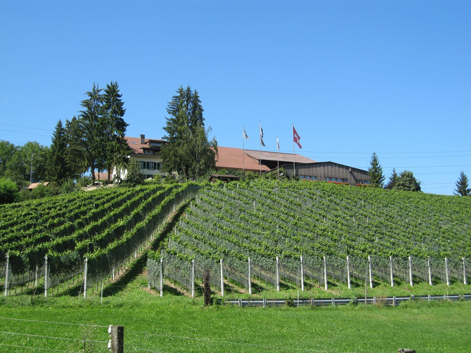 Restaurant Grosstannen| Bubendorf