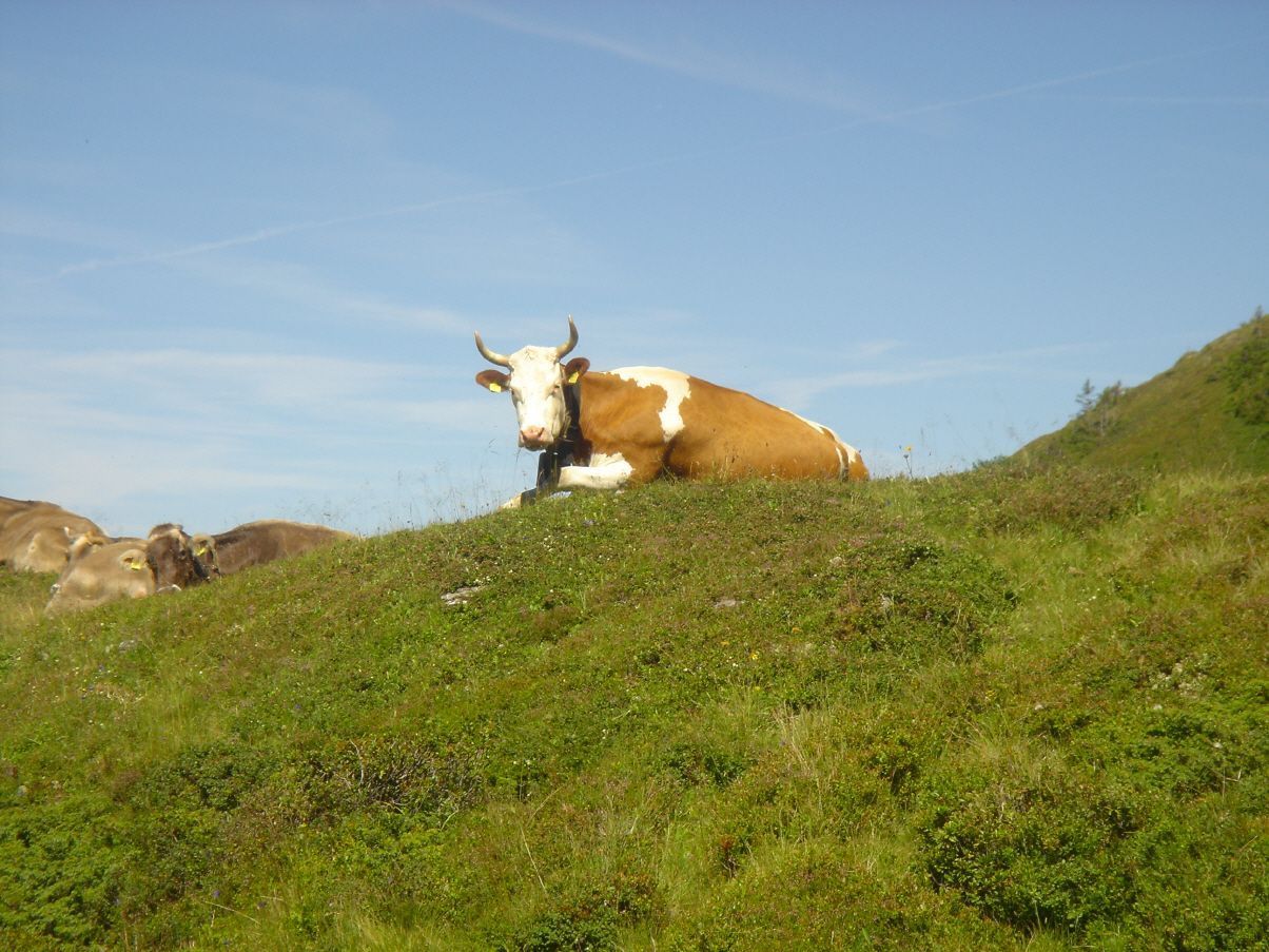 Restaurant Grosstannen| Bubendorf