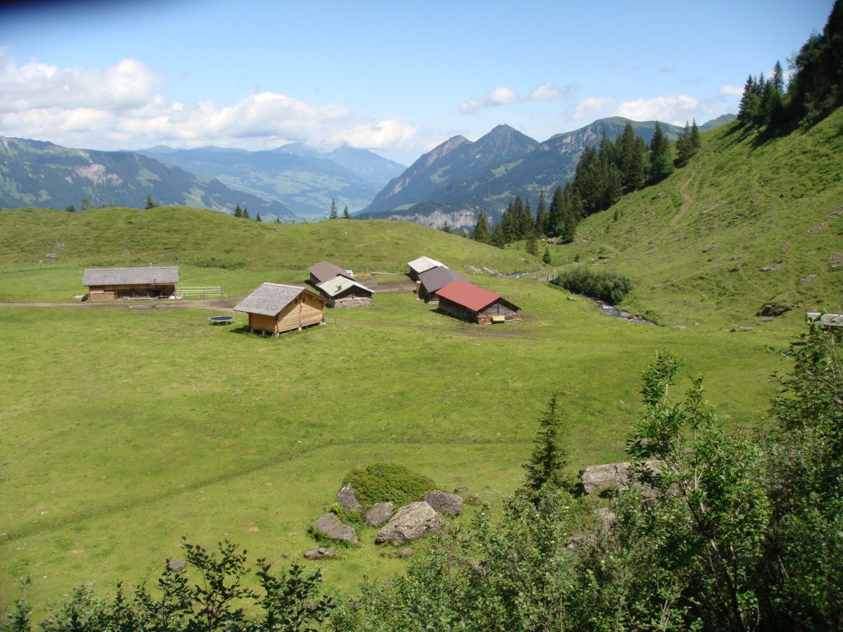 Restaurant Grosstannen| Bubendorf