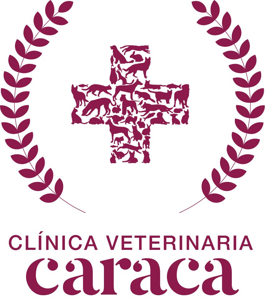 Un logotipo para la clínica veterinaria caraca con una cruz y una corona de laurel.
