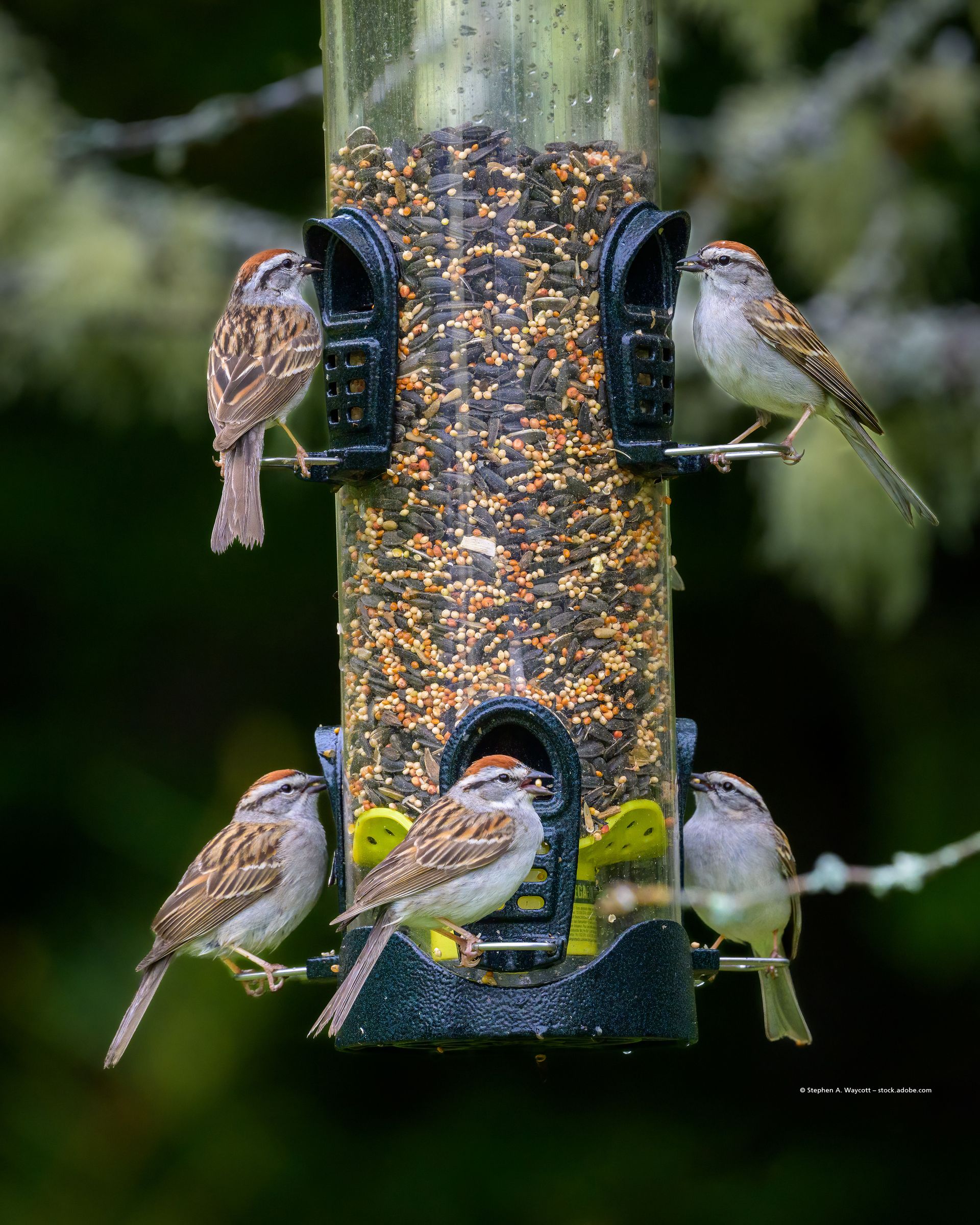 Platzhalterbild mit Text: „Ihr Bild könnte hier stehen.“ E-Mail-Kontakt: service@sellwerk-websites.de.