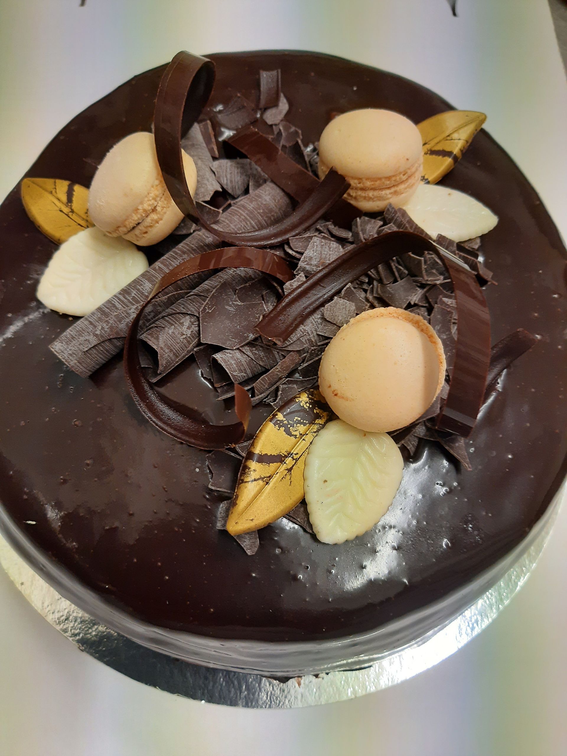 Moision Kotipakari Oy